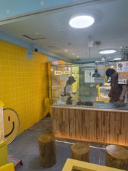 -神奇动物撸宠馆·羊驼·小浣熊·异宠(豫园店)