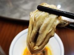 -蚝歌(中山七路店)