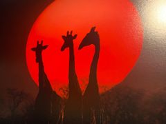 -罗红摄影艺术馆