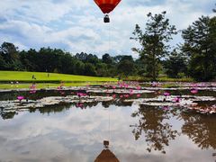 -中国科学院西双版纳热带植物园