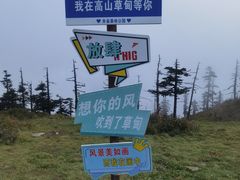 -朱雀国家森林公园