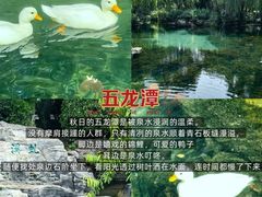 -满堂春特色餐馆