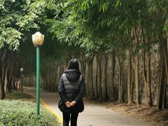 -三水森林公园