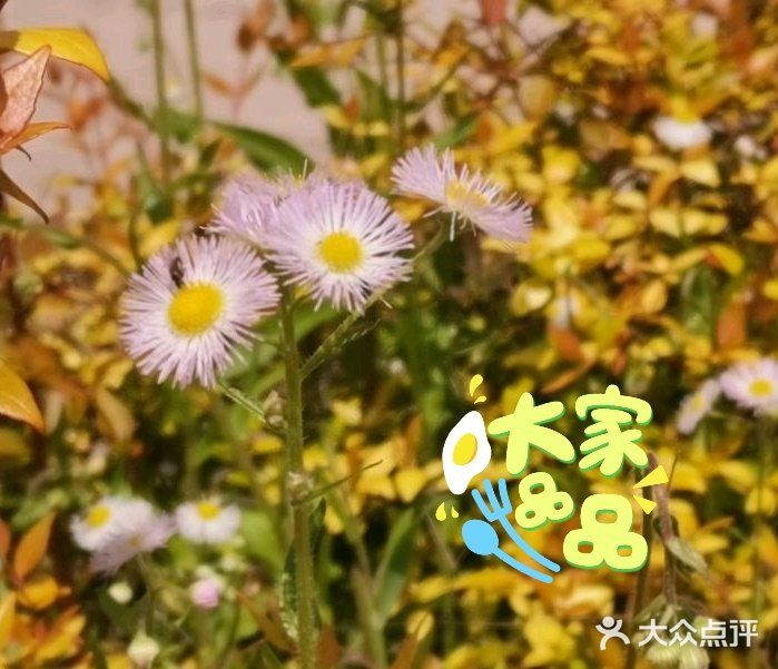 体验农家生活！