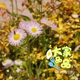 体验农家生活！