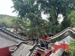 -泰山风景名胜区-普照寺