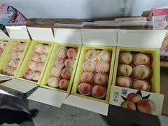 -南汇水蜜桃采摘(大团店)