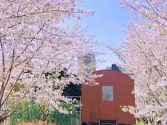 -新天地活力PARK