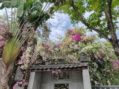 -深圳国际园林花卉博览园