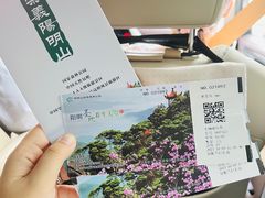 -江西阳明山国家森林公园