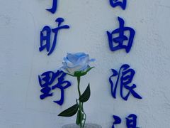 -东极岛景区