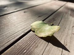 -北京石刻艺术博物馆(五塔寺)