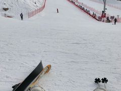 -太子岭滑雪场