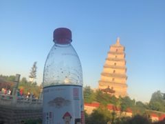 -大雁塔北广场音乐喷泉