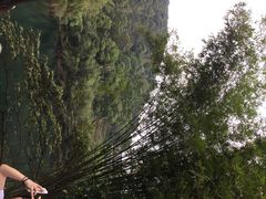 iphone_upload_pic-鼎湖山风景区