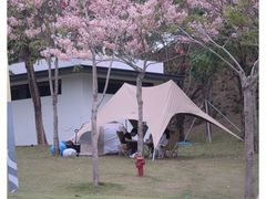 -白石龙音乐公园