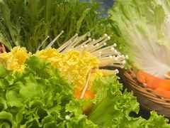 -尚海豆捞(乐虹坊店)