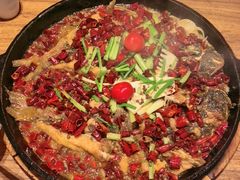 -老板恋上鱼(恒隆广场店)