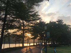 -顺峰山公园