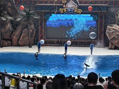 -热高乐园