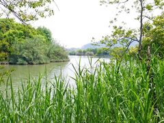 -白塔湖国家湿地公园
