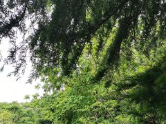 -虞山城墙