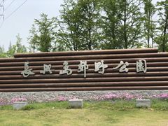 -上海长兴岛郊野公园