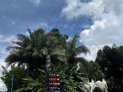 -云南民族村