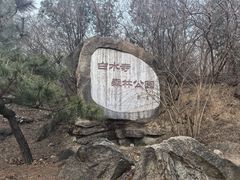-白水寺森林公园