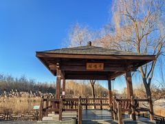 -大兴滨河森林公园