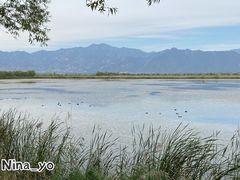 -野鸭湖国家湿地公园