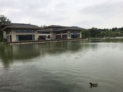 -林栖谷森林康养度假区