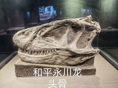 -自贡恐龙博物馆