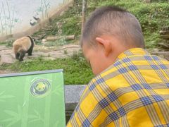 -中国大熊猫保护研究中心雅安碧峰峡基地