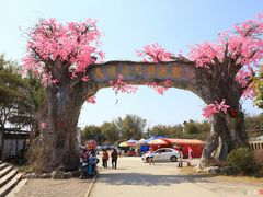 门面-天适樱花悠乐园