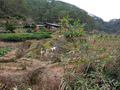 -武夷山风景名胜区-虎啸岩