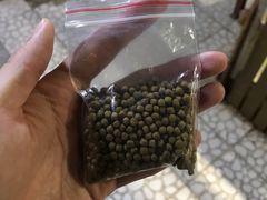 -上海大自然野生昆虫馆(东方明珠·爬宠昆虫探索中心)