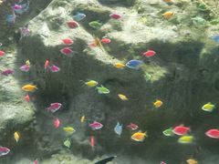 -苏州海洋馆