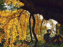 -无锡惠山寺