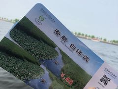 -白洋淀景区