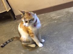 -看书吧(体育东横路店)