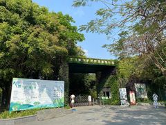 -华侨城湿地公园