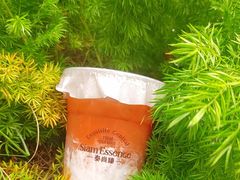 -泰尚臻Siam Essence