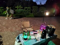 -铁山坪森林公园