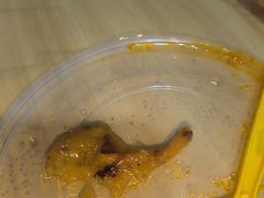 -金汤包(美专校街店)