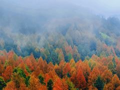 -山王坪喀斯特国家生态公园