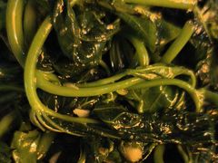 -鹅滋道(甘坑古镇店)