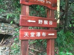 -罗田天堂寨风景区