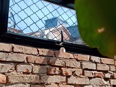 -VOYAGE COFFEE(北锣鼓巷店)