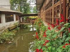 -青城甲(青城山店)